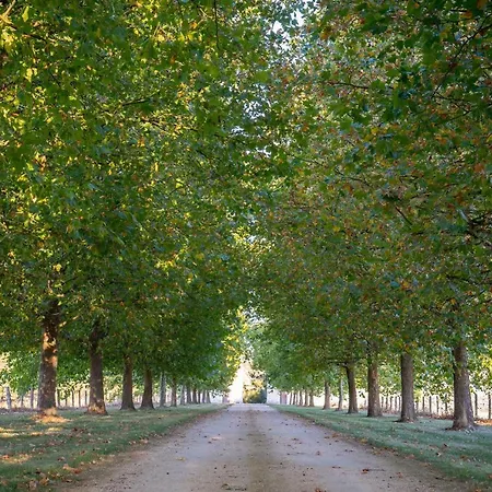 Konukevi Chateau De La Ronde Vivy